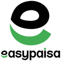 Payment icon 5